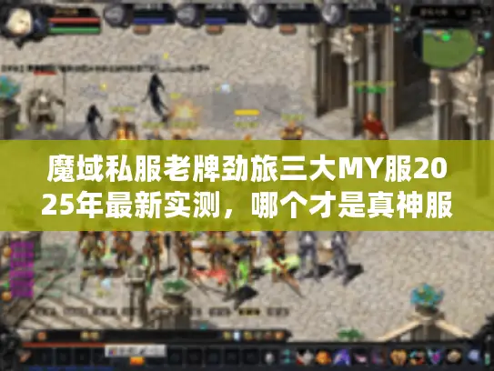 魔域私服老牌劲旅三大MY服2025年最新实测，哪个才是真神服？