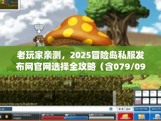 老玩家亲测，2025冒险岛私服发布网官网选择全攻略（含079/098版本实测）