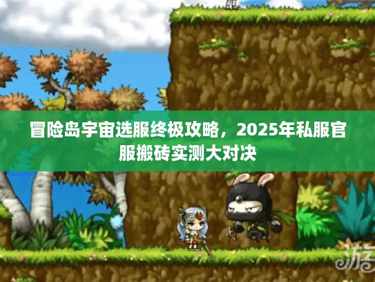 冒险岛宇宙选服终极攻略，2025年私服官服搬砖实测大对决