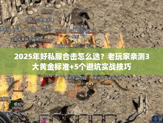 2025年好私服合击怎么选？老玩家亲测3大黄金标准+5个避坑实战技巧