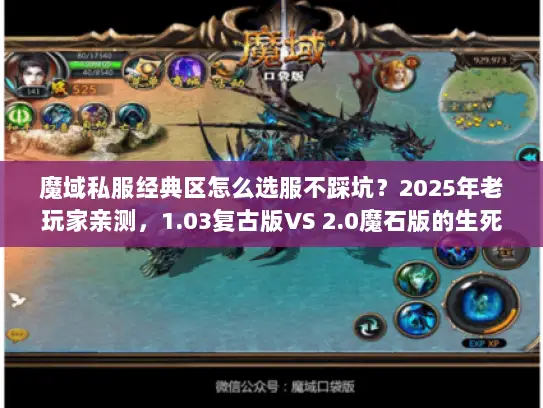 魔域私服经典区怎么选服不踩坑?2025年老玩家亲测,1.03复古版VS 2.0魔石版的生死抉择 魔域私服经典区怎么选服不踩坑?2025年老玩家亲测,1.03复古版VS 2.0魔石版的生死抉择