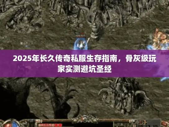 2025年长久传奇私服生存指南，骨灰级玩家实测避坑圣经