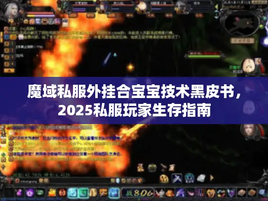 魔域私服外挂合宝宝技术黑皮书，2025私服玩家生存指南
