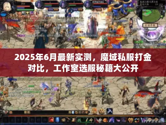 2025年6月最新实测，魔域私服打金对比，工作室选服秘籍大公开