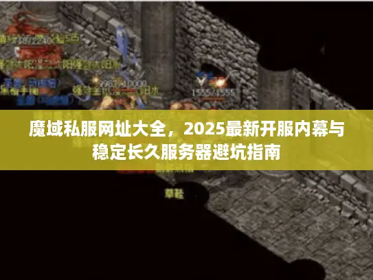 魔域私服网址大全，2025最新开服内幕与稳定长久服务器避坑指南