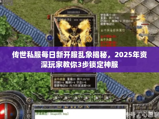 传世私服每日新开服乱象揭秘,2025年资深玩家教你3步锁定神服 传世私服每日新开服乱象揭秘,2025年资深玩家教你3步锁定神服