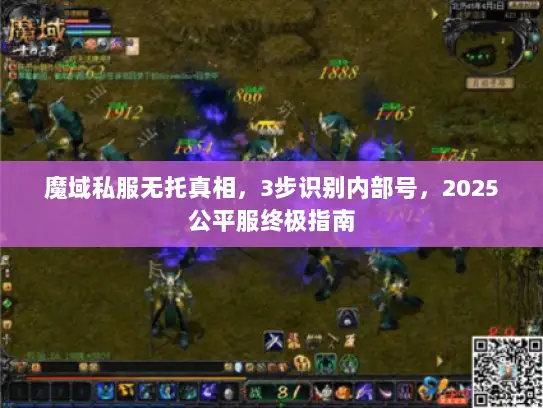 魔域私服无托真相，3步识别内部号，2025公平服终极指南