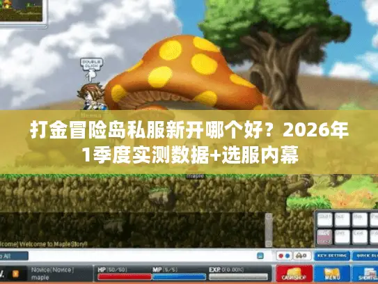 打金冒险岛私服新开哪个好？2026年1季度实测数据+选服内幕