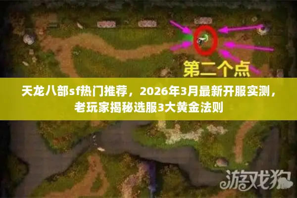 天龙八部sf热门推荐,2026年3月最新开服实测,老玩家揭秘选服3大黄金法则 天龙八部sf热门推荐,2026年3月最新开服实测,老玩家揭秘选服3大黄金法则