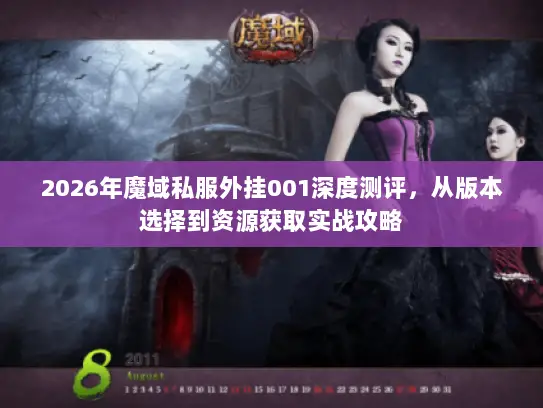 2026年魔域私服外挂001深度测评，从版本选择到资源获取实战攻略