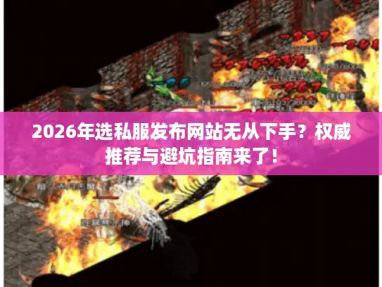 2026年选私服发布网站无从下手？权威推荐与避坑指南来了！