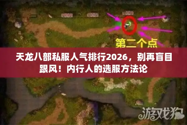 天龙八部私服人气排行2026，别再盲目跟风！内行人的选服方法论