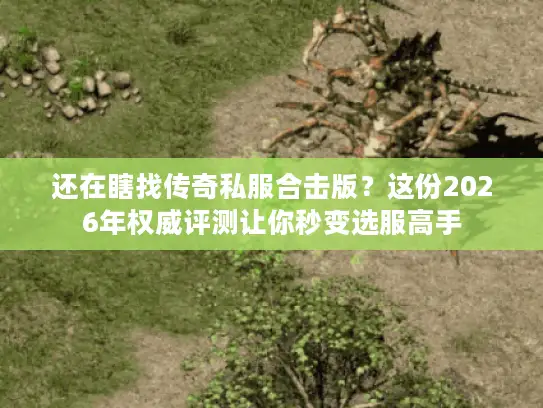 还在瞎找传奇私服合击版?这份2026年权威评测让你秒变选服高手 还在瞎找传奇私服合击版?这份2026年权威评测让你秒变选服高手