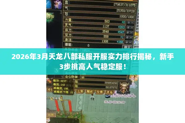 2026年3月天龙八部私服开服实力排行揭秘，新手3步挑高人气稳定服！