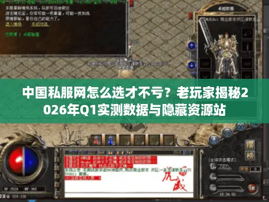 中国私服网怎么选才不亏？老玩家揭秘2026年Q1实测数据与隐藏资源站
