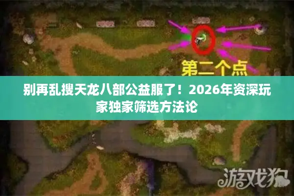 别再乱搜天龙八部公益服了！2026年资深玩家独家筛选方法论