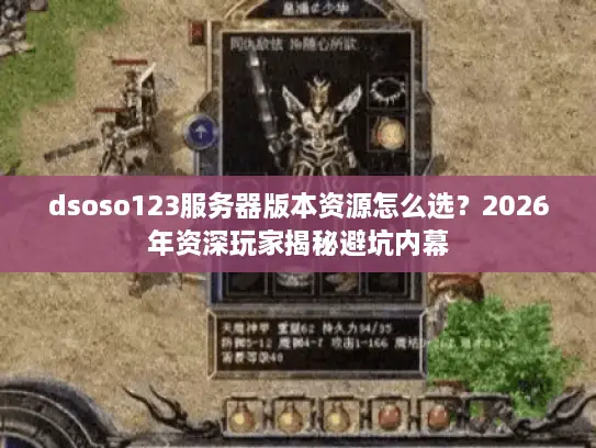 dsoso123服务器版本资源怎么选?2026年资深玩家揭秘避坑内幕 dsoso123服务器版本资源怎么选?2026年资深玩家揭秘避坑内幕