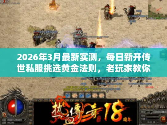 2026年3月最新实测，每日新开传世私服挑选黄金法则，老玩家教你3步锁定稳定服