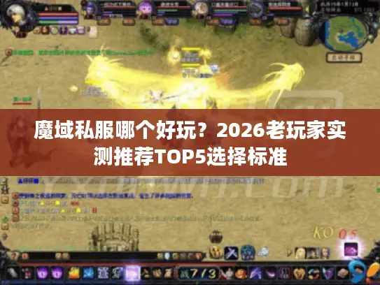 魔域私服哪个好玩？2026老玩家实测推荐TOP5选择标准