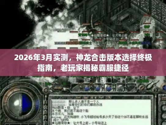 2026年3月实测，神龙合击版本选择终极指南，老玩家揭秘霸服捷径
