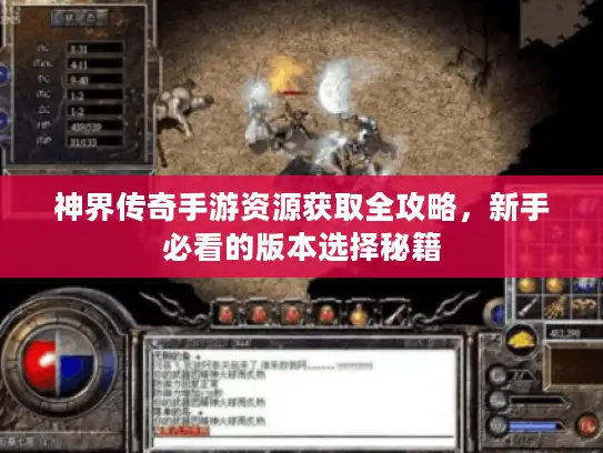 神界传奇手游资源获取全攻略，新手必看的版本选择秘籍
