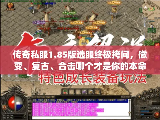 传奇私服1.85版选服终极拷问，微变、复古、合击哪个才是你的本命版本？