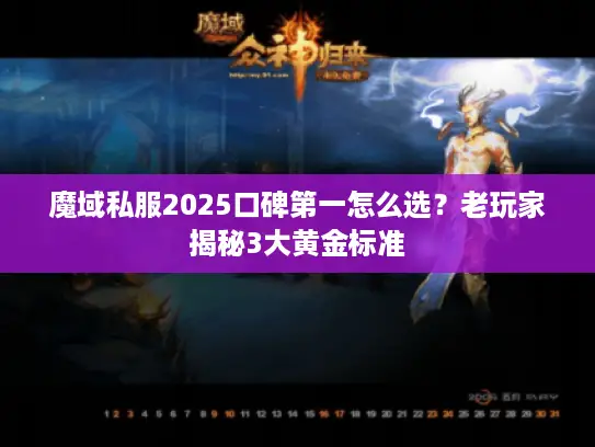 魔域私服2025口碑第一怎么选？老玩家揭秘3大黄金标准