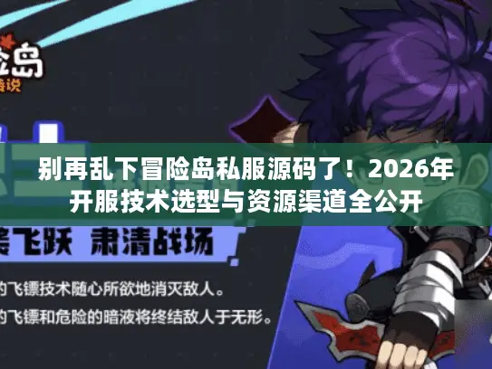 别再乱下冒险岛私服源码了！2026年开服技术选型与资源渠道全公开