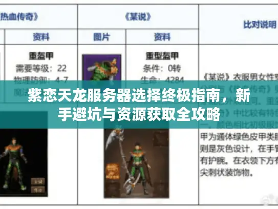 紫恋天龙服务器选择终极指南，新手避坑与资源获取全攻略