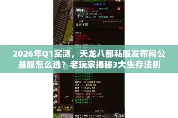 2026年Q1实测，天龙八部私服发布网公益服怎么选？老玩家揭秘3大生存法则