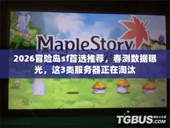 2026冒险岛sf首选推荐，春测数据曝光，这3类服务器正在淘汰