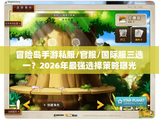 冒险岛手游私服/官服/国际服三选一？2026年最强选择策略曝光