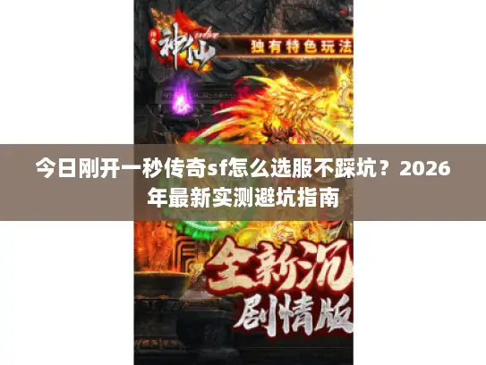 今日刚开一秒传奇sf怎么选服不踩坑？2026年最新实测避坑指南
