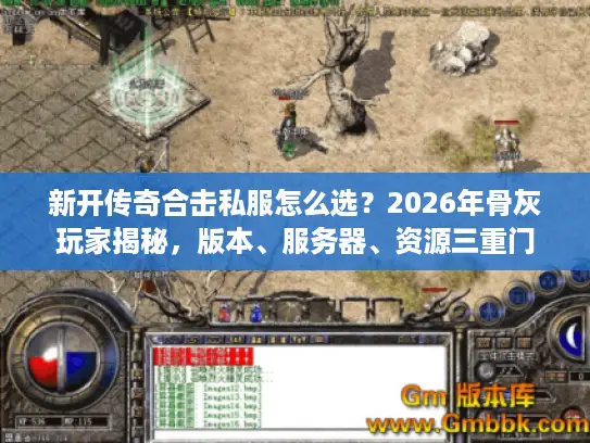 新开传奇合击私服怎么选？2026年骨灰玩家揭秘，版本、服务器、资源三重门