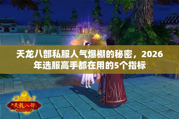 天龙八部私服人气爆棚的秘密，2026年选服高手都在用的5个指标