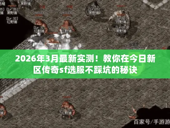 2026年3月最新实测!教你在今日新区传奇sf选服不踩坑的秘诀 2026年3月最新实测!教你在今日新区传奇sf选服不踩坑的秘诀