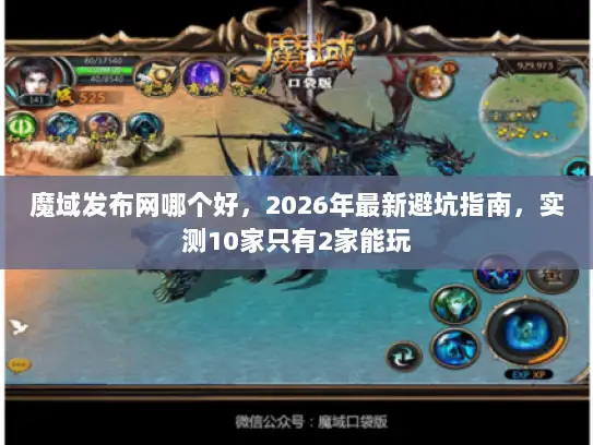 魔域发布网哪个好，2026年最新避坑指南，实测10家只有2家能玩