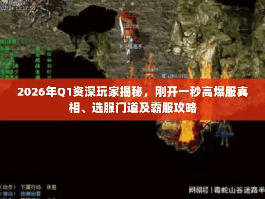 2026年Q1资深玩家揭秘,刚开一秒高爆服真相、选服门道及霸服攻略 2026年Q1资深玩家揭秘,刚开一秒高爆服真相、选服门道及霸服攻略