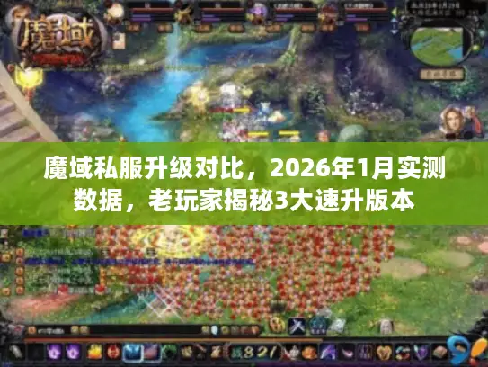 魔域私服升级对比,2026年1月实测数据,老玩家揭秘3大速升版本 魔域私服升级对比,2026年1月实测数据,老玩家揭秘3大速升版本