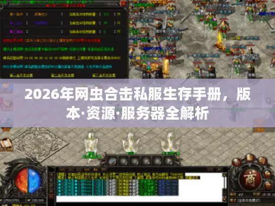 2026年网虫合击私服生存手册，版本·资源·服务器全解析