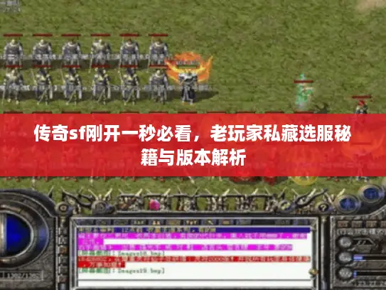 传奇sf刚开一秒必看，老玩家私藏选服秘籍与版本解析