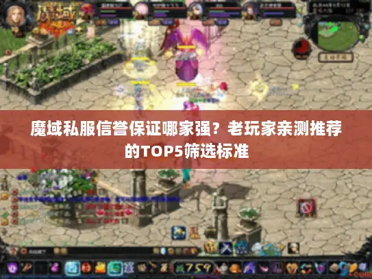 魔域私服信誉保证哪家强？老玩家亲测推荐的TOP5筛选标准
