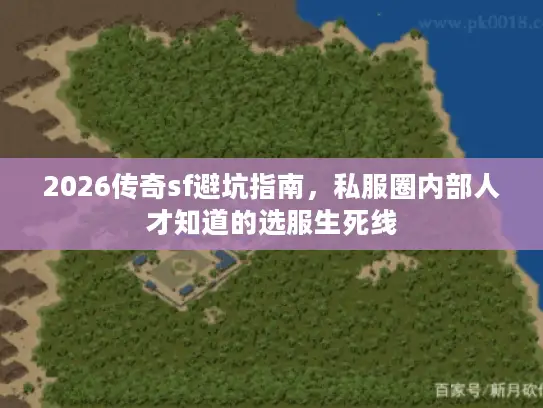 2026传奇sf避坑指南，私服圈内部人才知道的选服生死线
