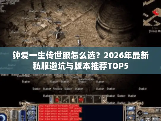 钟爱一生传世服怎么选？2026年最新私服避坑与版本推荐TOP5