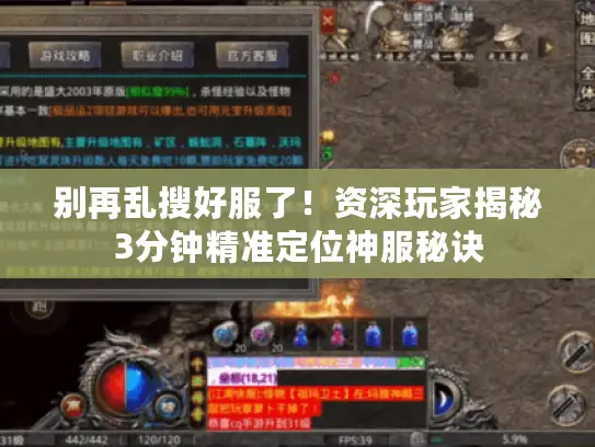 别再乱搜好服了！资深玩家揭秘3分钟精准定位神服秘诀