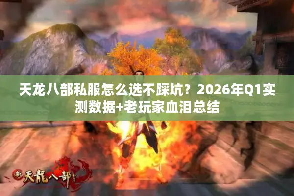 天龙八部私服怎么选不踩坑？2026年Q1实测数据+老玩家血泪总结