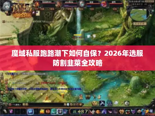魔域私服跑路潮下如何自保？2026年选服防割韭菜全攻略