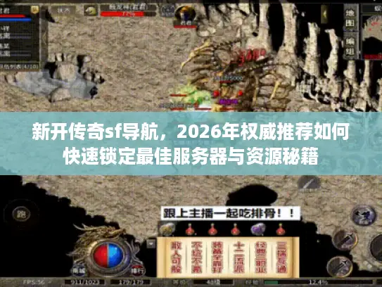 新开传奇sf导航，2026年权威推荐如何快速锁定最佳服务器与资源秘籍