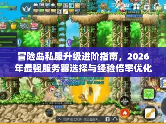 冒险岛私服升级进阶指南，2026年最强服务器选择与经验倍率优化秘诀大揭秘！