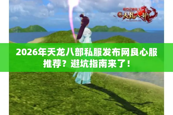 2026年天龙八部私服发布网良心服推荐？避坑指南来了！